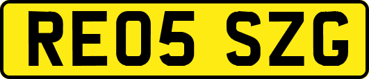 RE05SZG