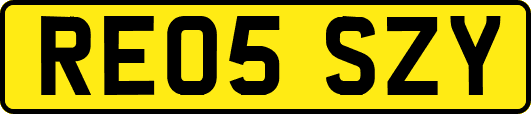 RE05SZY
