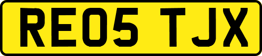 RE05TJX