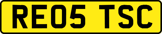 RE05TSC