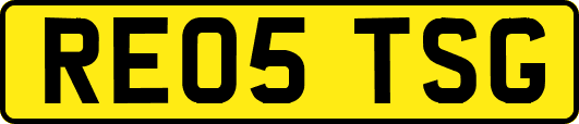RE05TSG