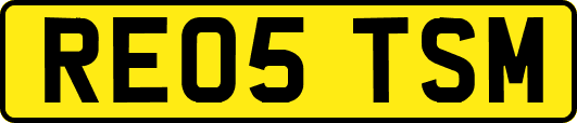 RE05TSM
