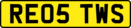 RE05TWS