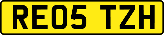 RE05TZH