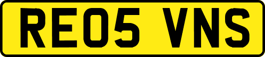 RE05VNS