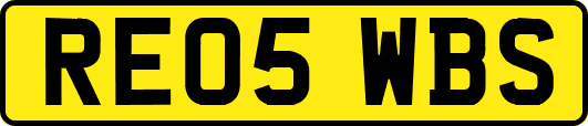 RE05WBS