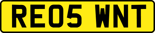 RE05WNT