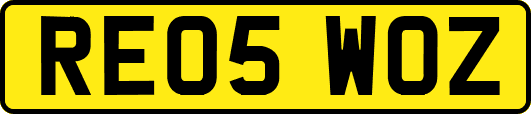 RE05WOZ