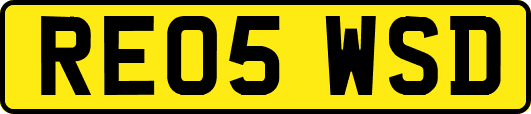 RE05WSD