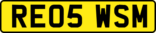 RE05WSM