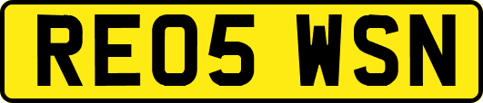 RE05WSN