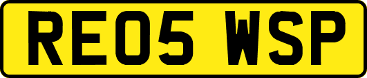 RE05WSP
