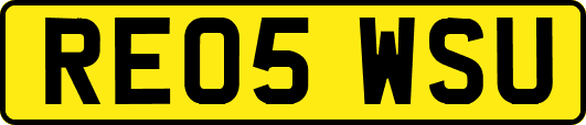 RE05WSU