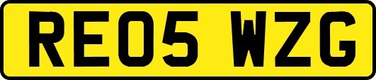 RE05WZG
