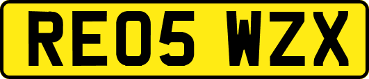 RE05WZX