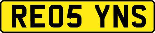 RE05YNS