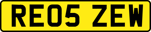 RE05ZEW