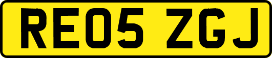 RE05ZGJ