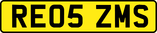 RE05ZMS