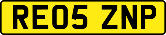 RE05ZNP