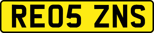RE05ZNS