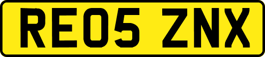 RE05ZNX