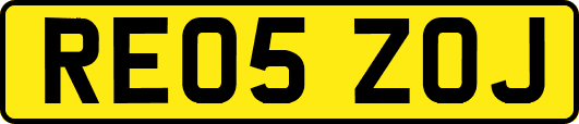 RE05ZOJ