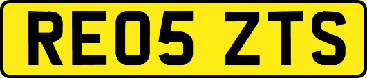 RE05ZTS