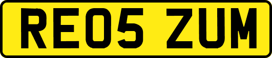 RE05ZUM
