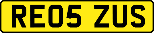 RE05ZUS