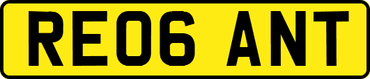 RE06ANT