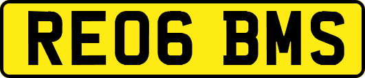 RE06BMS