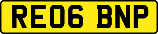 RE06BNP