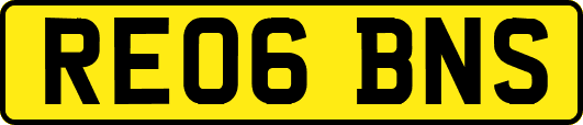 RE06BNS
