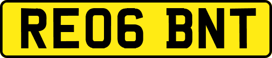 RE06BNT