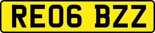 RE06BZZ