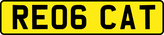 RE06CAT
