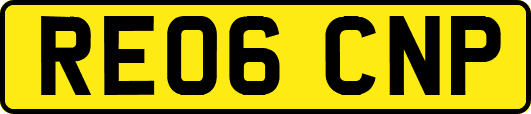RE06CNP