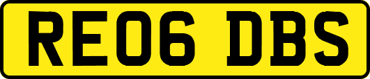RE06DBS