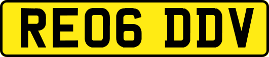 RE06DDV