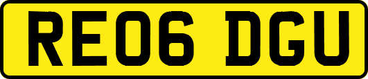 RE06DGU