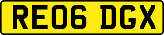 RE06DGX
