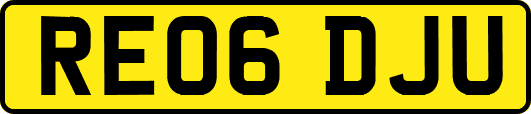 RE06DJU