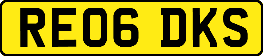 RE06DKS