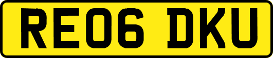 RE06DKU