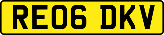 RE06DKV