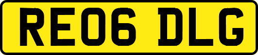 RE06DLG