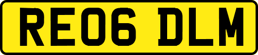 RE06DLM