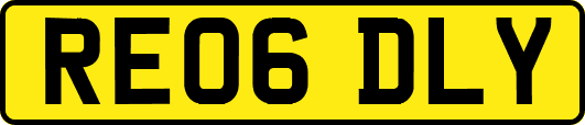 RE06DLY