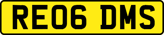 RE06DMS